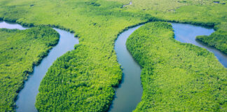 Sous l’Amazonie, une gigantesque réserve d’eau : ce que l’humanité pourrait réellement en faire
